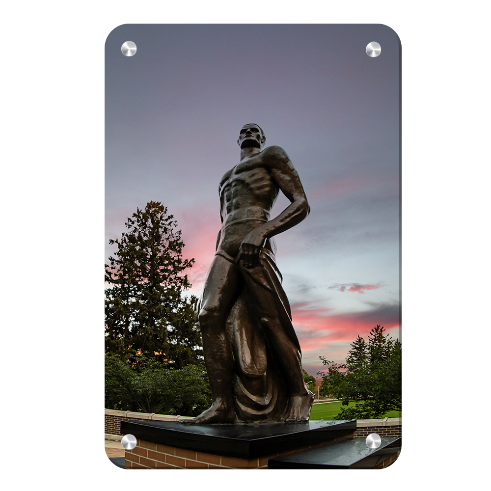 Michigan State - Spartan Sunset - College Wall Art #Canvas