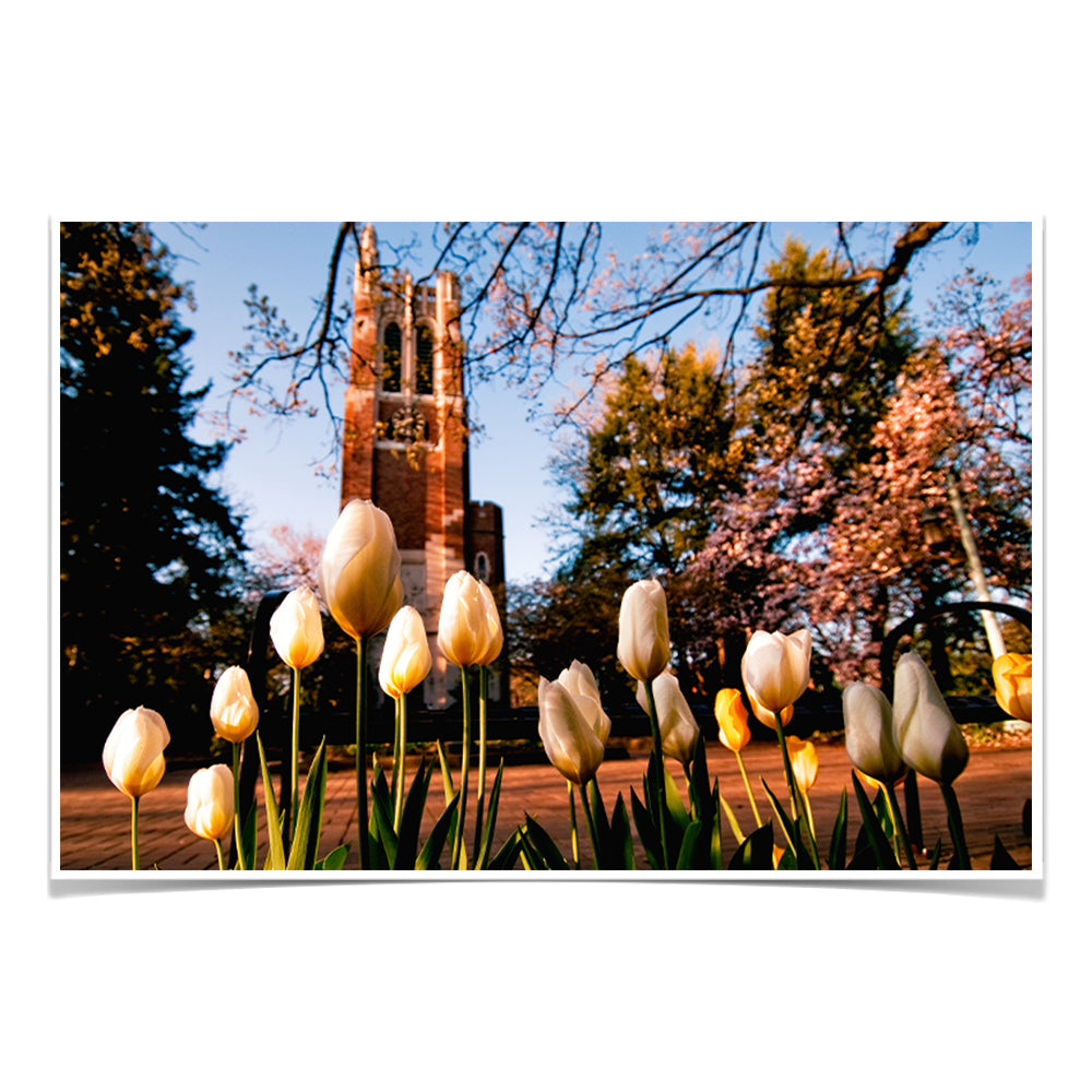 Michigan State - Spring - College Wall Art #Canvas