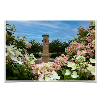 Michigan State - Benafactor Plaza Flowers - College Wall Art #Poster