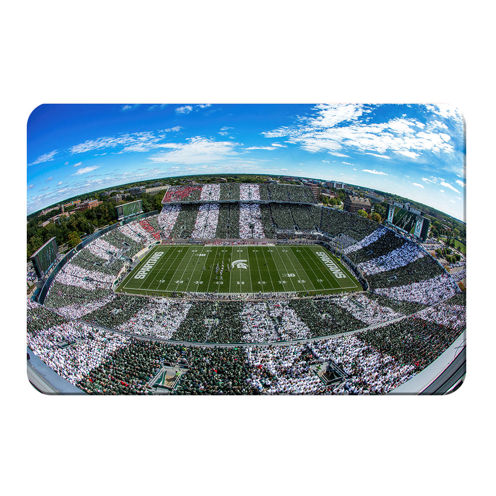 Michigan State - Fish Eye Stripe Out - College Wall Art #Canvas