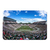 Michigan State - Michigan State Stripe Out - College Wall Art #PVC