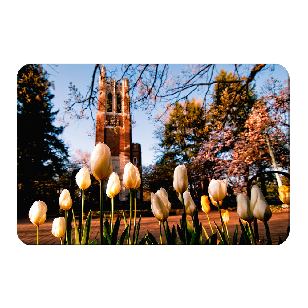 Michigan State - Spring - College Wall Art #Canvas