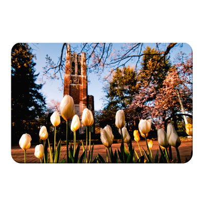 Michigan State - Spring - College Wall Art #PVC