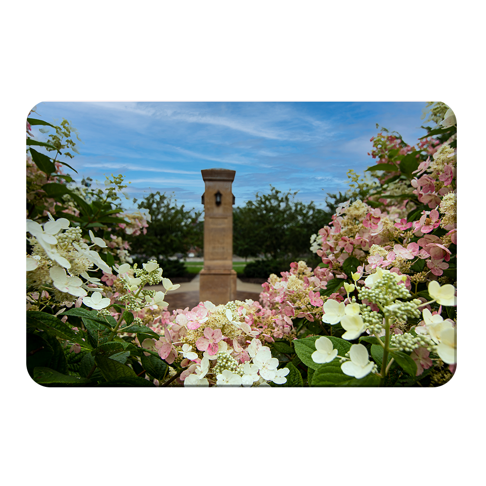 Michigan State - Benafactor Plaza Flowers - College Wall Art #Canvas