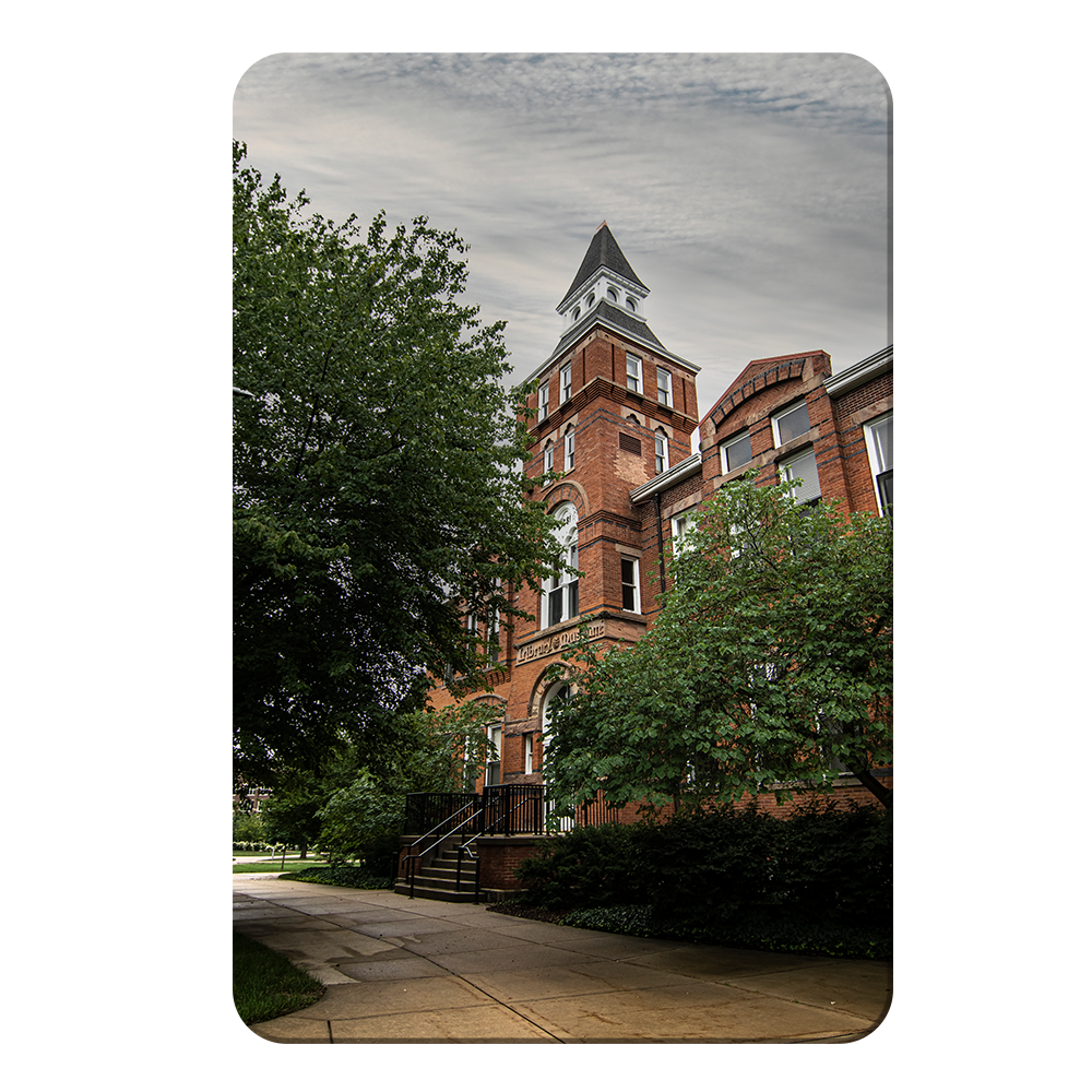 Michigan State - Library Museum - College Wall Art #Canvas