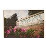 Michigan State - Michigan State University - College Wall Art #Wood