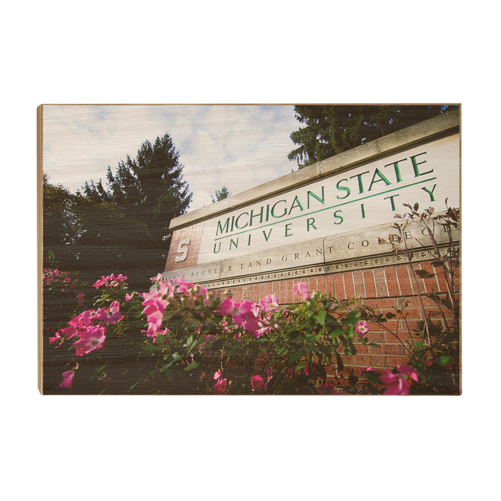 Michigan State - Michigan State University - College Wall Art #Canvas