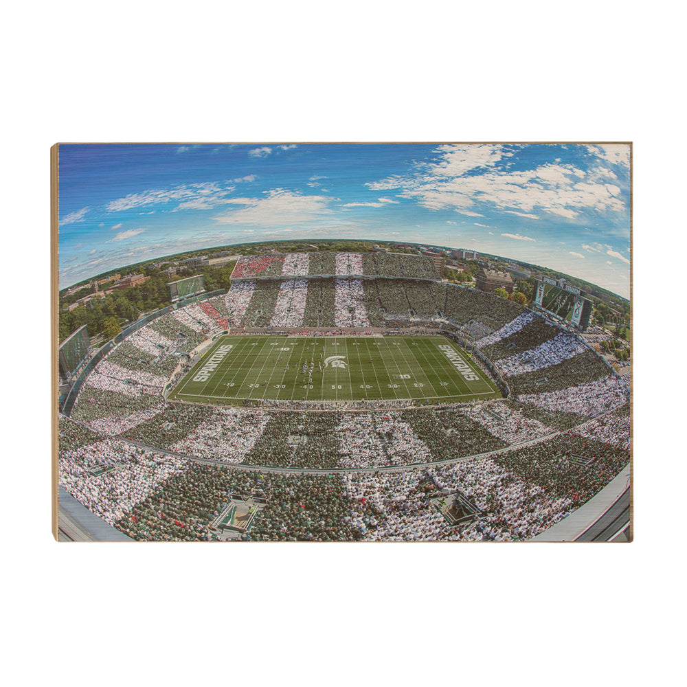 Michigan State - Fish Eye Stripe Out - College Wall Art #Canvas