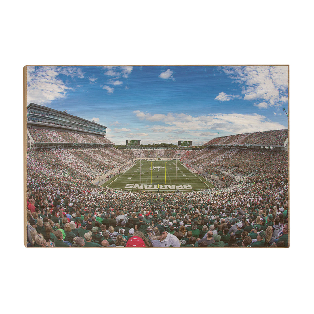 Michigan State - Michigan State Stripe Out - College Wall Art #Canvas