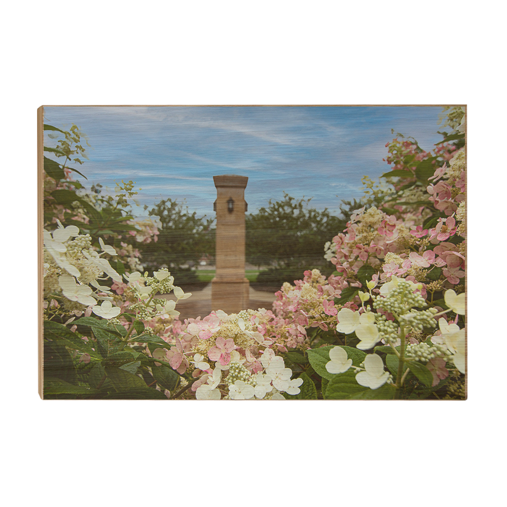 Michigan State - Benafactor Plaza Flowers - College Wall Art #Canvas