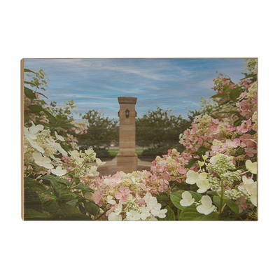 Michigan State - Benafactor Plaza Flowers - College Wall Art #Wood