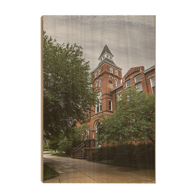 Michigan State - Library Museum - College Wall Art #Wood