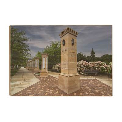 Michigan State - Benefactors Plaza - College Wall Art #Wood