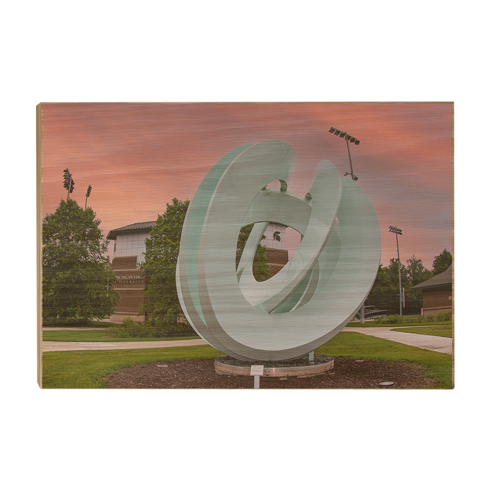 Michigan State - Secchia Stadium -College Wall Art #Canvas