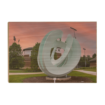 Michigan State - Secchia Stadium -College Wall Art #Wood