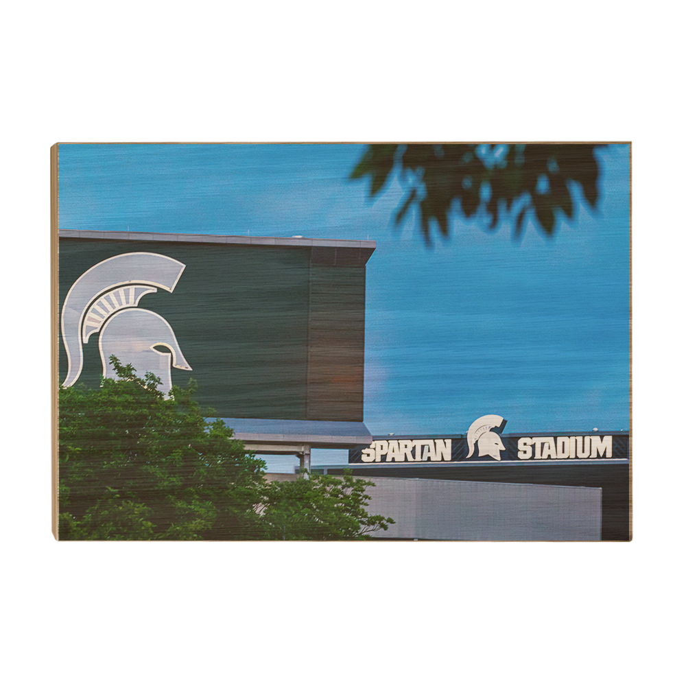 Michigan State - Spartan Stadium Lights - College Wall Art #Canvas