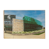 Michigan State - Spartan Stadium - College Wall Art #Wood