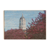 Missouri Tigers - Jesse Hall Sketch - College Wall Art #Wood