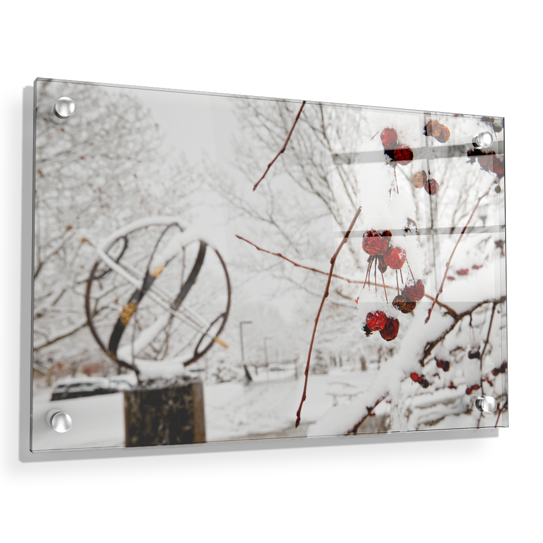 Miami RedHawks<sub>&reg;</sub> - Winter Crab Apples - College Wall Art#Canvas