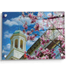 Miami RedHawks<sub>&reg;</sub> - Miami U Spring - College Wall Art #Acrylic