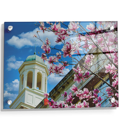 Miami RedHawks<sub>&reg;</sub> - Miami U Spring - College Wall Art #Acrylic