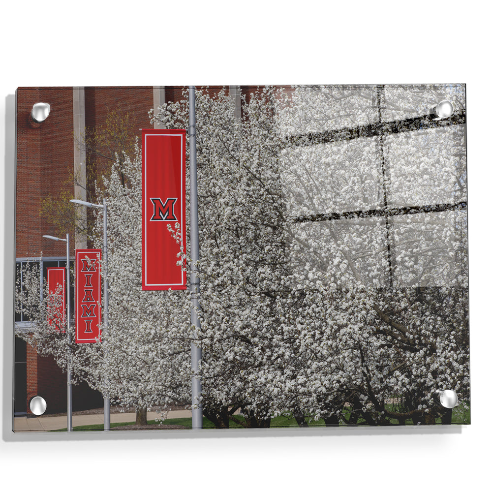 Miami RedHawks<sub>&reg;</sub> - Miami Cherry Blossoms - College Wall Art #Canvas