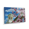 Miami RedHawks<sub>&reg;</sub> - Miami U Spring - College Wall Art #Acrylic Mini