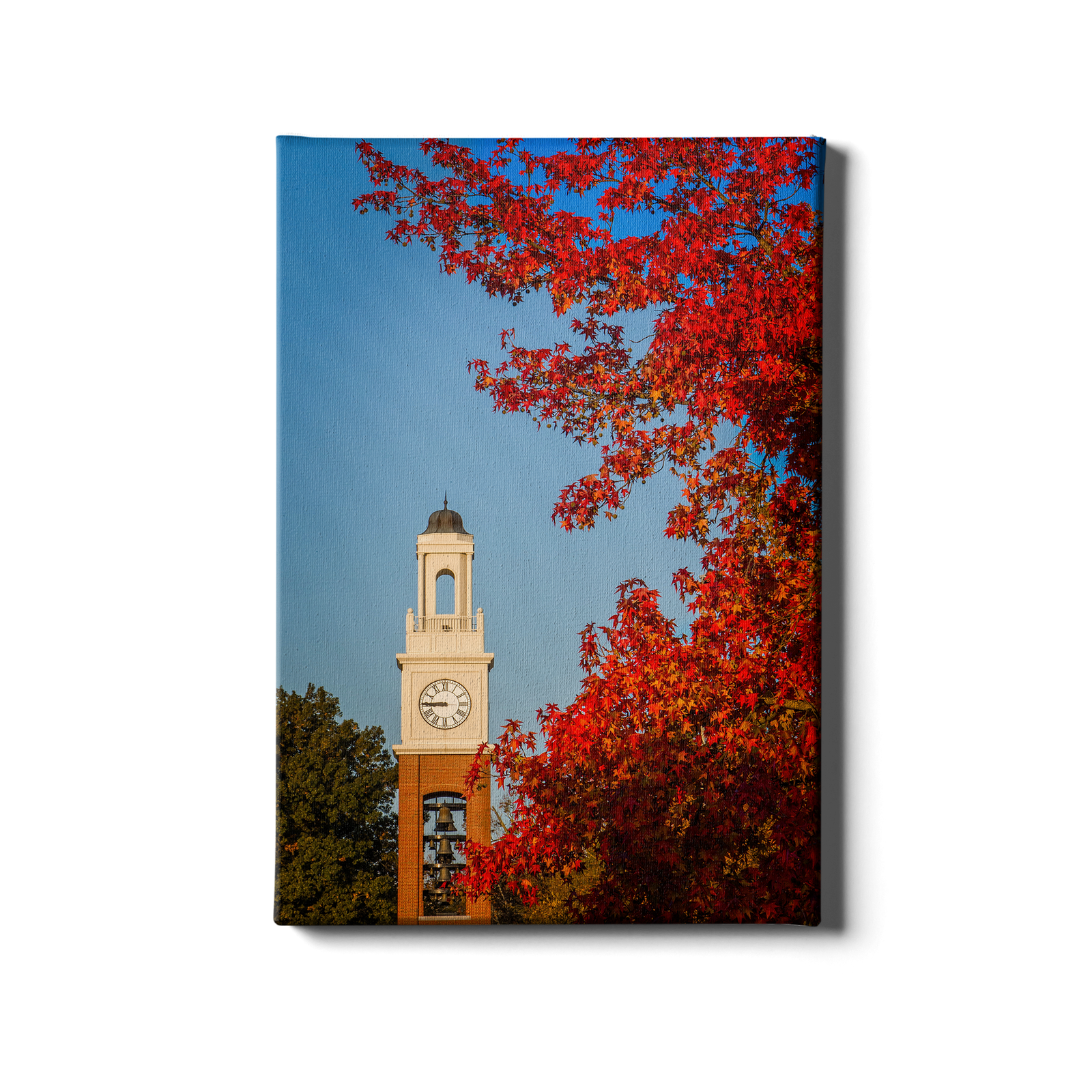 Miami RedHawks<sub>&reg;</sub> - Pulley Tower Blaze - College Wall Art#Canvas