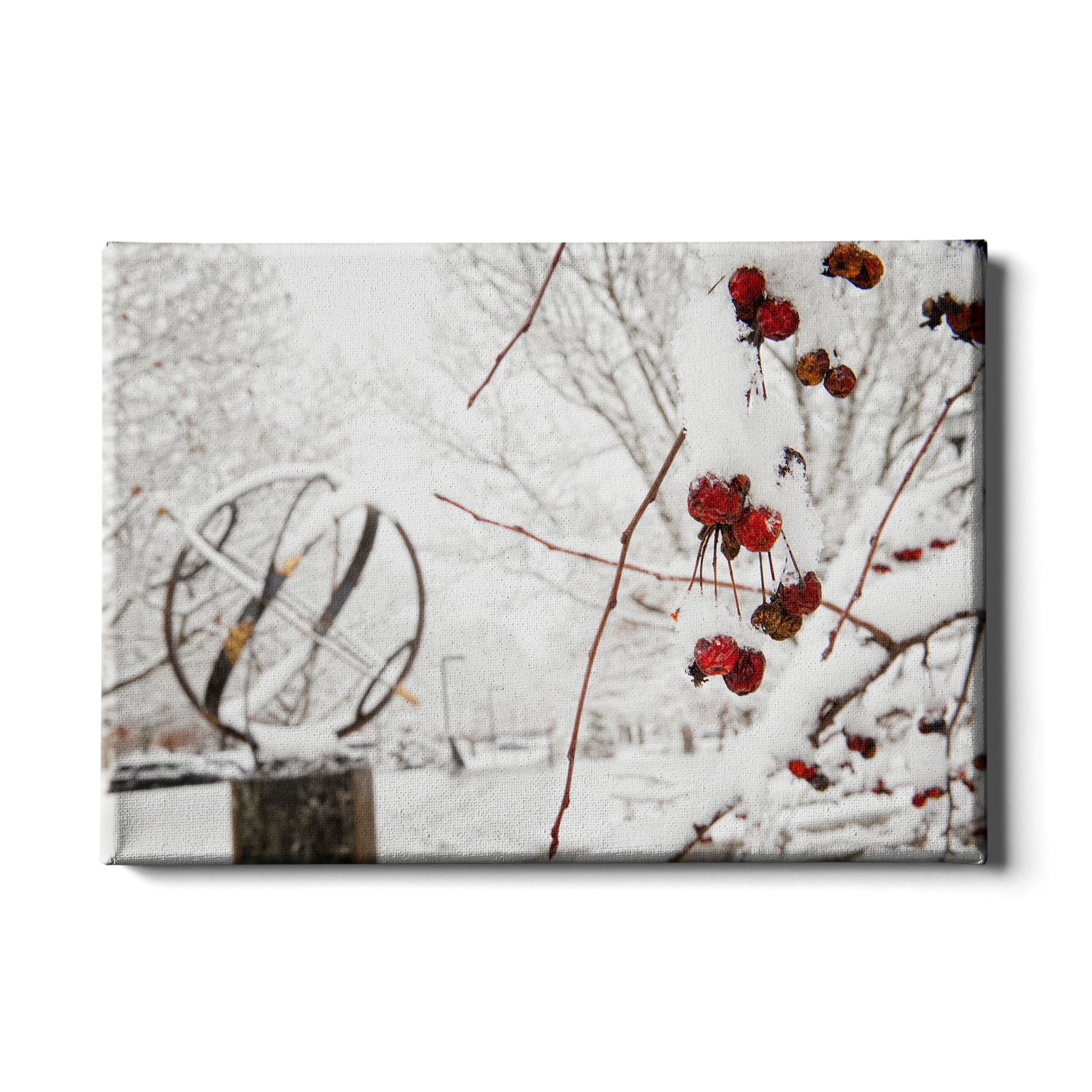 Miami RedHawks<sub>&reg;</sub> - Winter Crab Apples - College Wall Art#Canvas