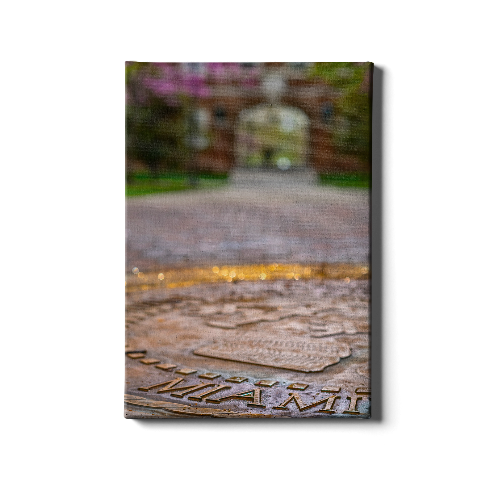 Miami RedHawks<sub>&reg;</sub> - The Seal - College Wall Art#Canvas