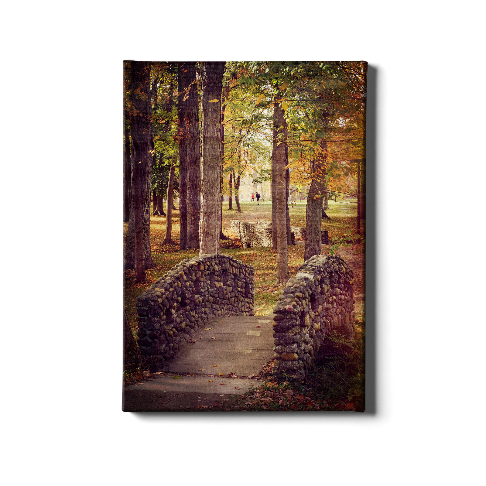 Miami RedHawks<sub>&reg;</sub>  - Autumn Western Bridges - College Wall Art#Canvas