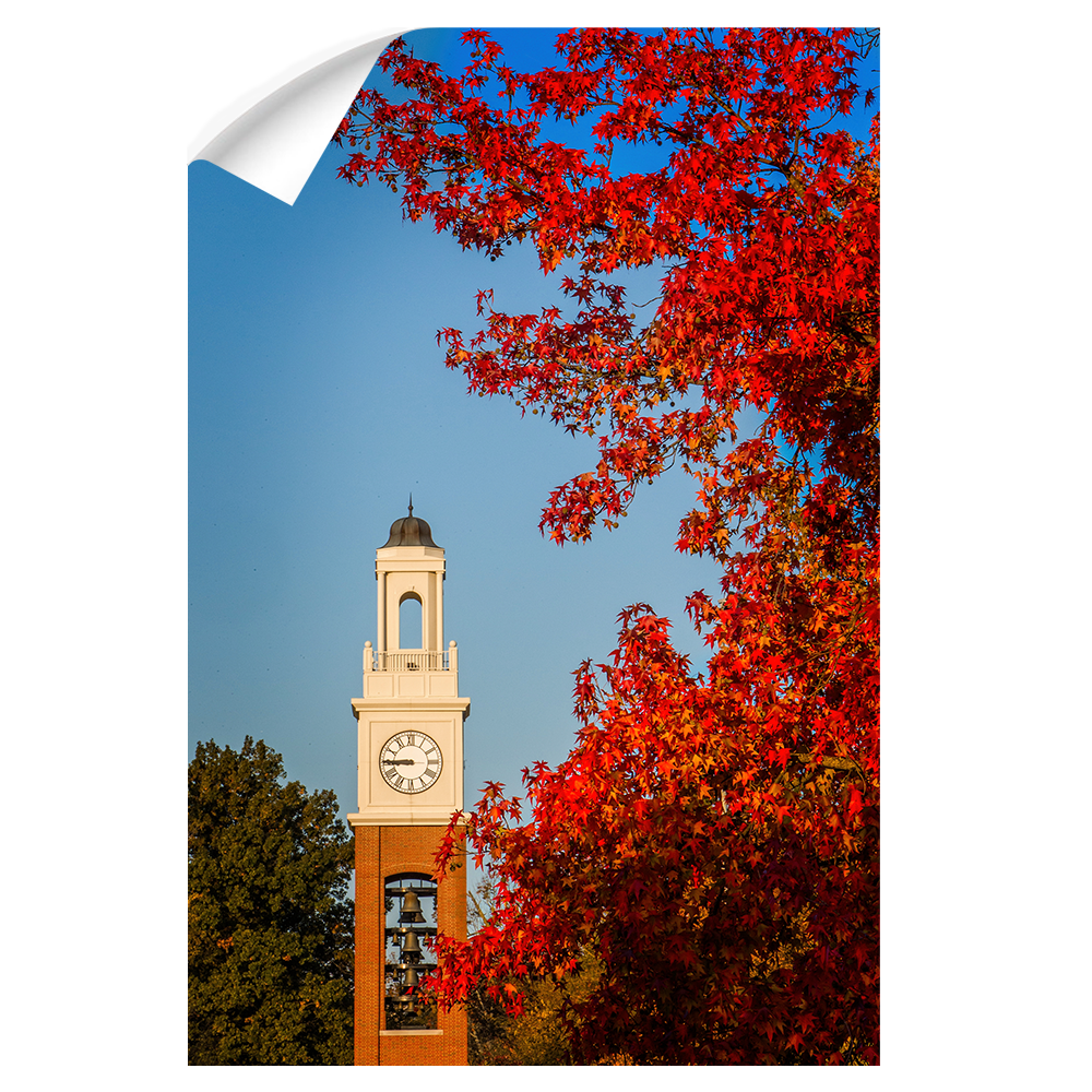 Miami RedHawks<sub>&reg;</sub> - Pulley Tower Blaze - College Wall Art#Canvas