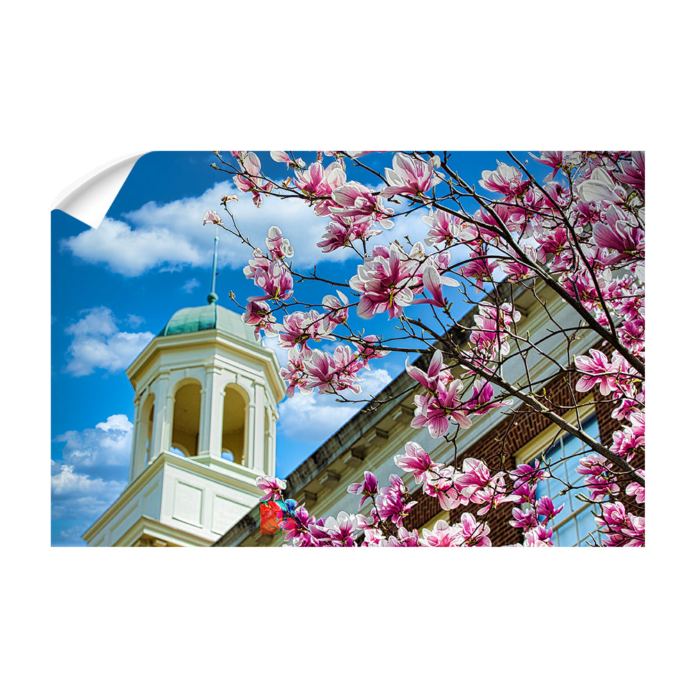 Miami RedHawks<sub>&reg;</sub> - Miami U Spring - College Wall Art #Canvas