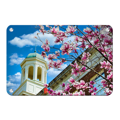 Miami RedHawks<sub>&reg;</sub> - Miami U Spring - College Wall Art #Metal