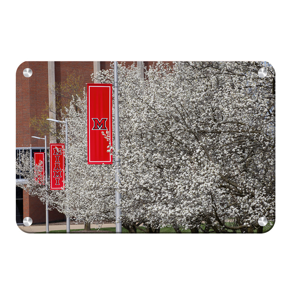 Miami RedHawks<sub>&reg;</sub> - Miami Cherry Blossoms - College Wall Art #Canvas