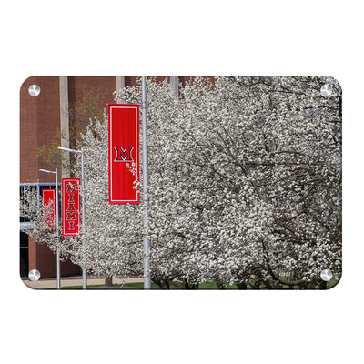 Miami RedHawks<sub>&reg;</sub> - Miami Cherry Blossoms - College Wall Art #Metal