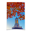 Miami RedHawks<sub>&reg;</sub> - Autumn Light - College Wall Art#Poster