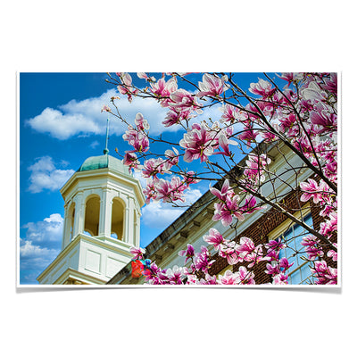 Miami RedHawks<sub>&reg;</sub> - Miami U Spring - College Wall Art #Poster