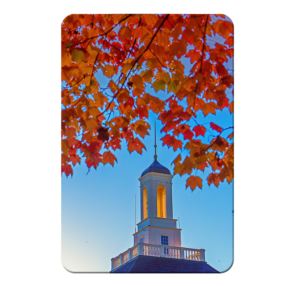 Miami RedHawks<sub>&reg;</sub> - Autumn Light - College Wall Art#Canvas