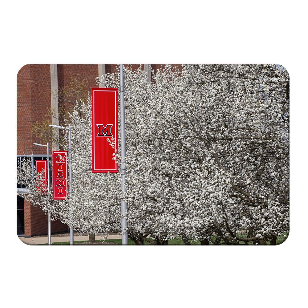 Miami RedHawks<sub>&reg;</sub> - Miami Cherry Blossoms - College Wall Art #Canvas