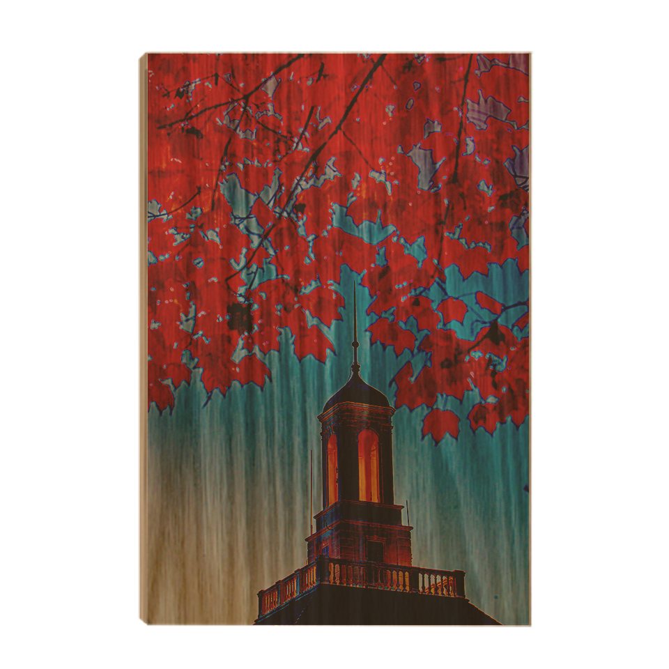 Miami RedHawks<sub>&reg;</sub> - Autumn Light - College Wall Art#Canvas