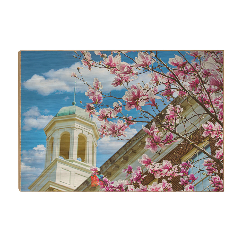 Miami RedHawks<sub>&reg;</sub> - Miami U Spring - College Wall Art #Canvas