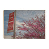 Miami RedHawks<sub>&reg;</sub> - Love and Honor - College Wall Art #Wood