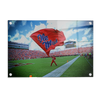 Ole Miss Rebels - Ole Miss Flag - College Wall Art #Acrylic