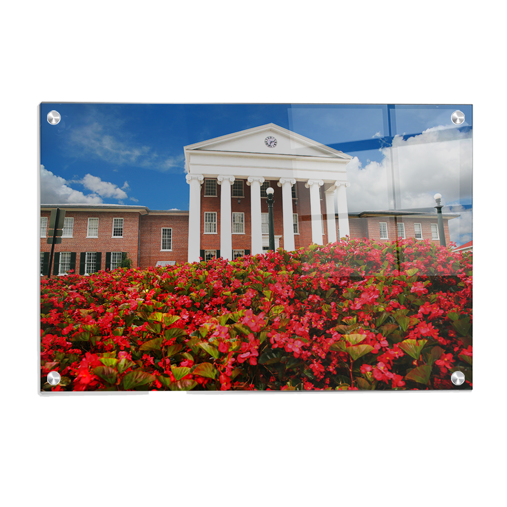 Ole Miss Rebels - Lyceum - College Wall Art #Canvas