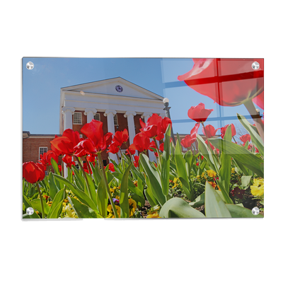 Ole Miss Rebels - Spring Lyceum - College Wall Art #Acrylic