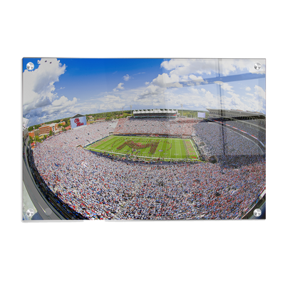 Ole Miss Rebels - Ole Miss White Out - College Wall Art #Acrylic