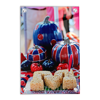 Ole Miss Rebels - Mississippi Pumpkin - College Wall Art #Acrylic