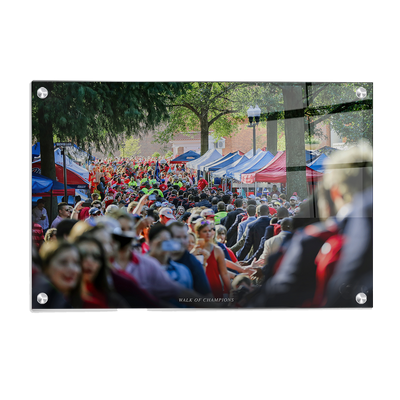 Ole Miss Rebels - Walk of Champions Thru the Grove - College Wall Art #Acrylic