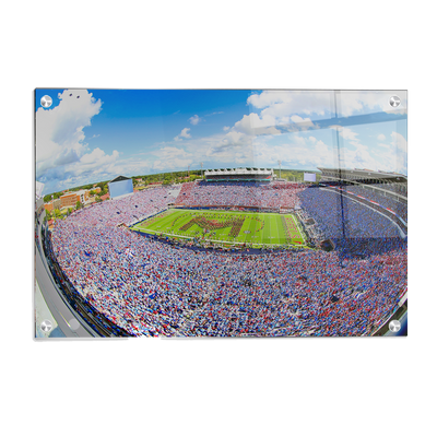 Ole Miss Rebels - Powder Blue Game - College Wall Art #Acrylic